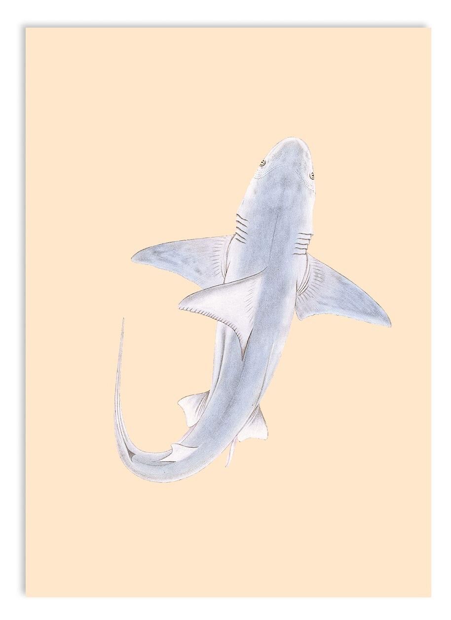 Miniprint A5 Crossroads