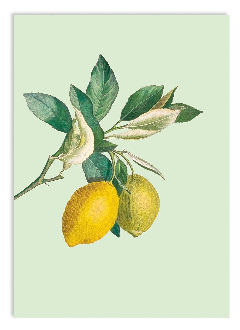 Miniprint A5 Postumi di una sbornia