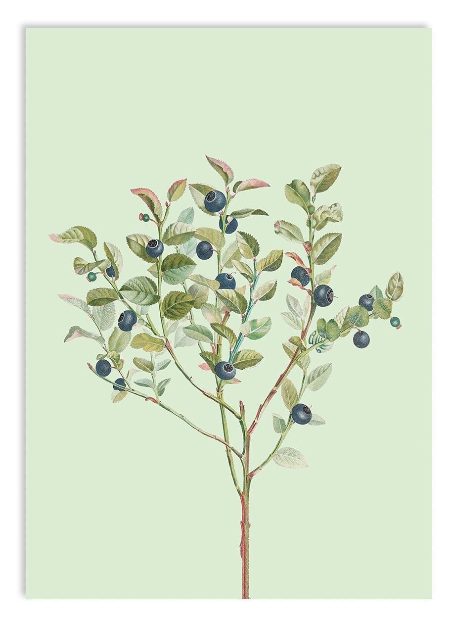 Miniprint A5 Liberté