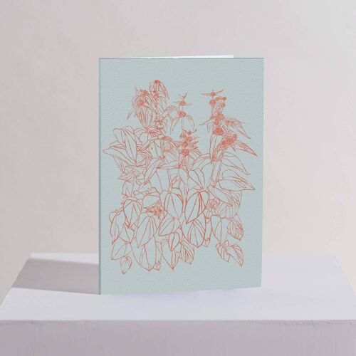 Summer Greetings Card