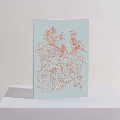 Summer Greetings Card