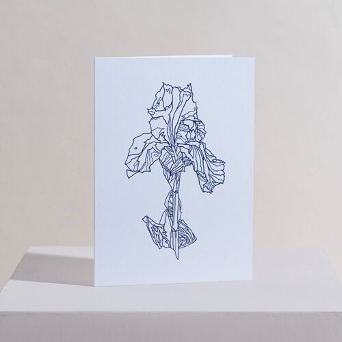 Iris Greetings Card