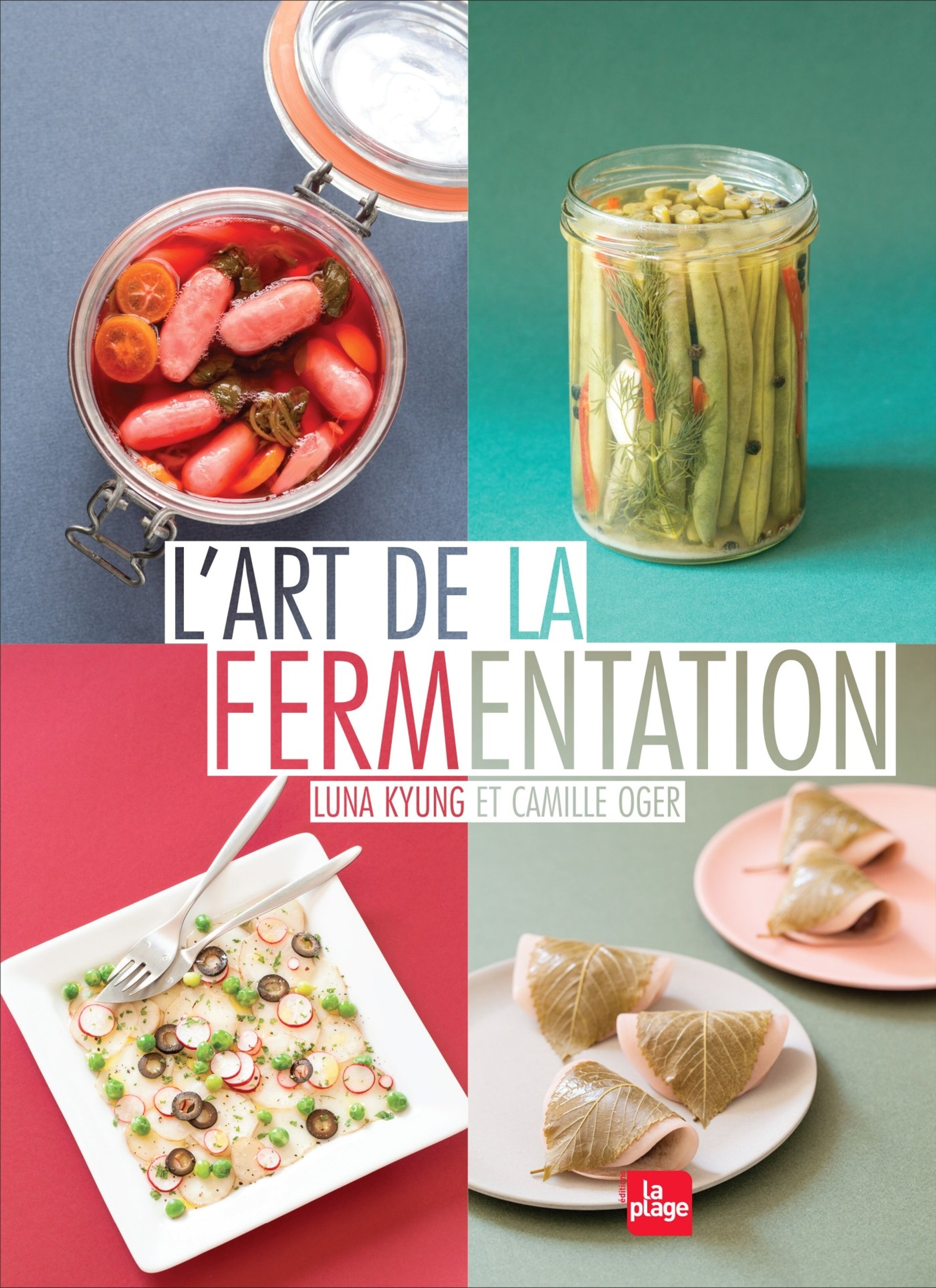 Art of Fermentation: Un guide complet des cuves de fermentation - YoLong  Brewtech