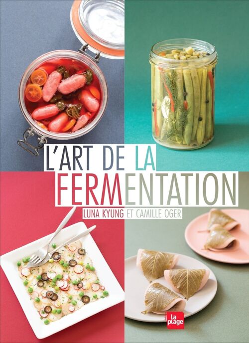 LIVRE - L'art de la fermentation