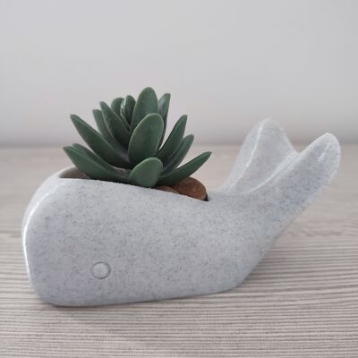 Jardinière Baleine Amusante - M