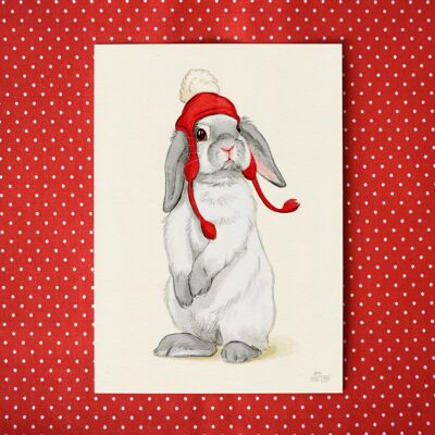 Postal "Conejo con gorro rojo"