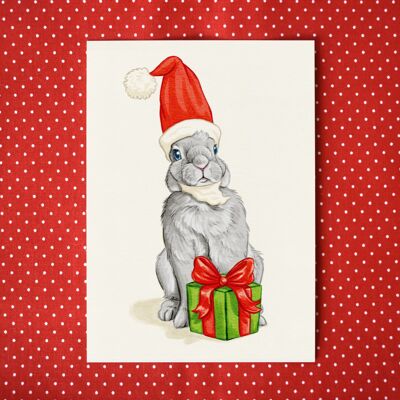 Carte Postale "Lapin Père Noël"