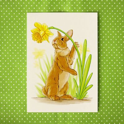 Postcard "Rabbit with Narcissus"