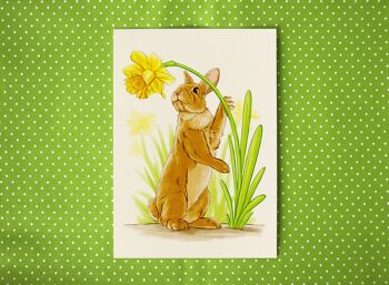 Carte postale "Lapin avec Narcisse"