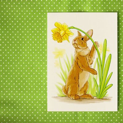 Postcard "Rabbit with Narcissus"