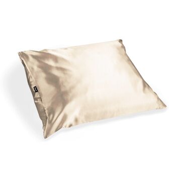 Coussin Nordique - 036 Sable ensoleillé / Blanc cassé 4