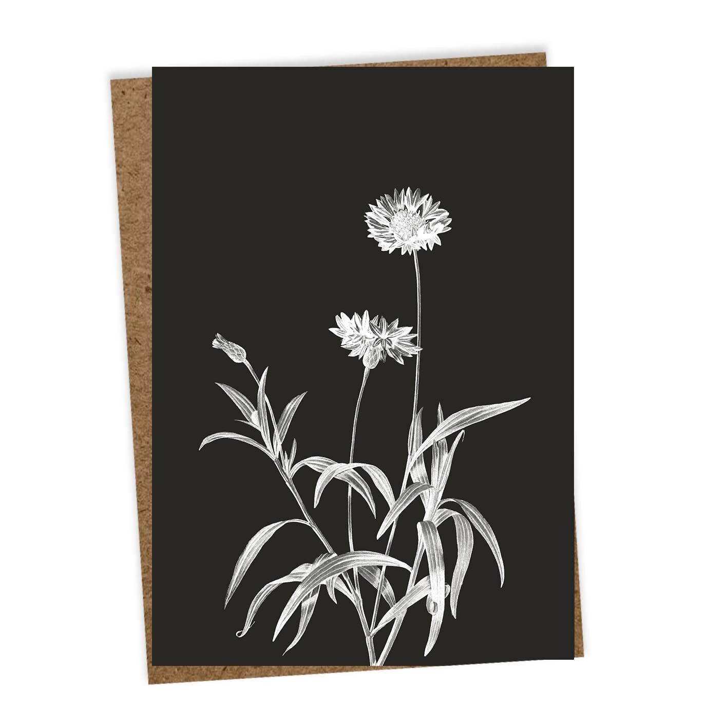 Biglietto di auguri n. 4 (Flora)