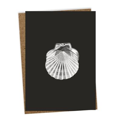 Greeting card #3 (shell)