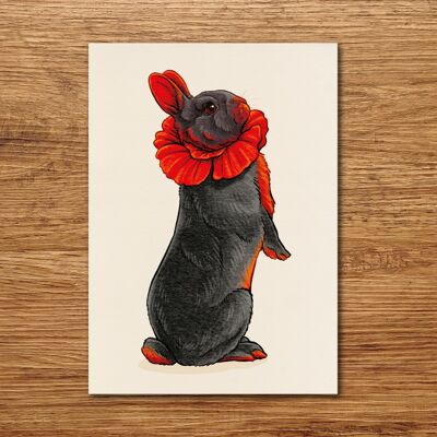 Postcard "Flowers Rabbit - Poppies"