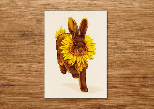 Postkarte "Blumen Kaninchen - Sonnenblume"