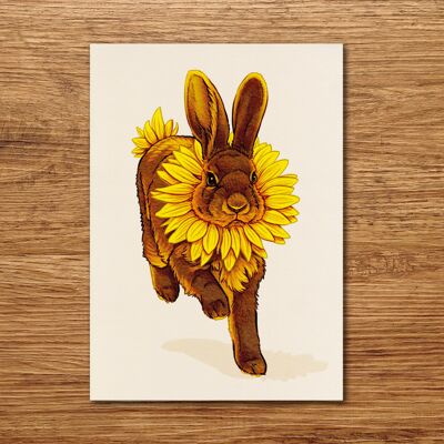 Postkarte "Blumen Kaninchen - Sonnenblume"