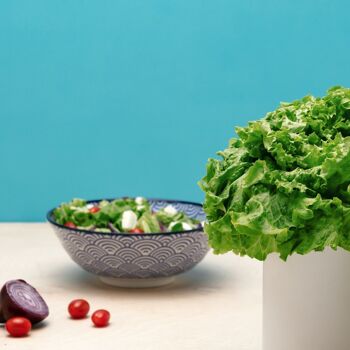 Capsule SALADE BATAVIA - Kit capsule et graines pour faire pousser fruits et légumes salade batavia - capsule pour potager d'intérieur autonome Prêt à pousser - Substrat et coque en plastique végétal 2
