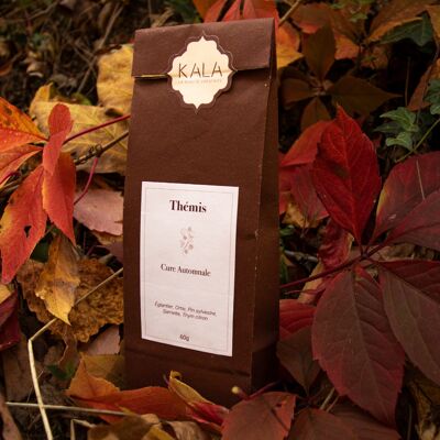 Thémis - Autumn Cure