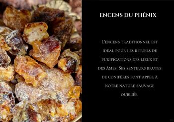 Encens résine - Phénix (50g) 5