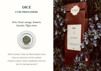 Dicé - Cure Printanière 5