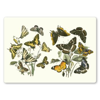 Papillons tablettes 1