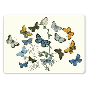 Papillons tablettes 2