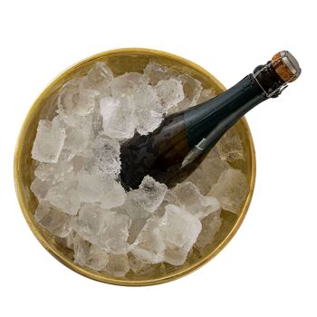 Refroidisseur de bouteilles refroidisseur de vin métal ø 29 cm refroidisseur de champagne rond argent or refroidisseur de glace refroidisseur de champagne 15