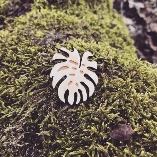 Cheese Plant Pin Badge