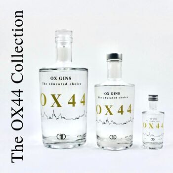 OX1 (ox-gins-ox1-OX1/70CL) 1