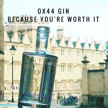 OX1 (ox-gins-ox1-OX1/70CL) 6