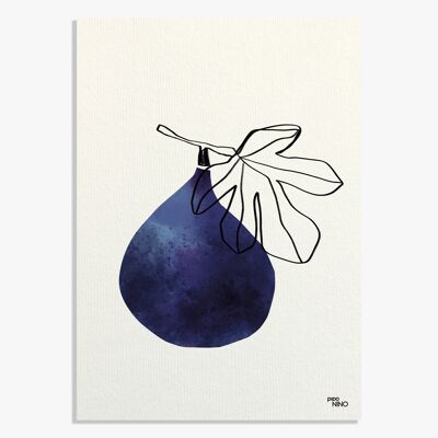 Affiche A4 Fruit - Figues
