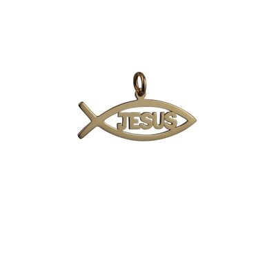 9ct 35x7mm Jesus Christian Fish Pendant or Charm