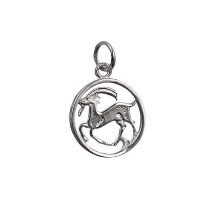 Silver 15mm round Capricorn Zodiac Charm