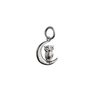 Silver 16x10mm Owl and moon charm
