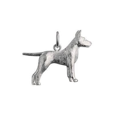 Silver 19x25mm Staffordshire Bull terrier Pendant or Charm