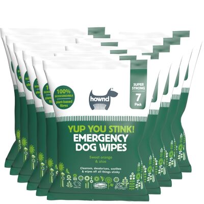 Ouaip tu pues ! Lingettes d'urgence biodégradables pour chien x10