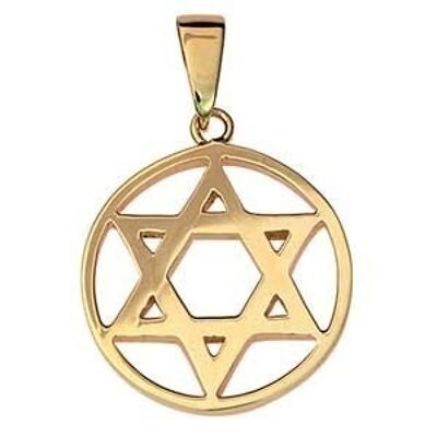 9ct 25mm plain Star of David in circle Pendant