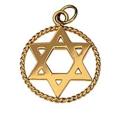 9ct 20mm plain Star of David in a twisted wire circle Pendant or Charm