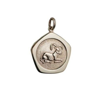 9ct 21mm five sided Aries Zodiac Pendant