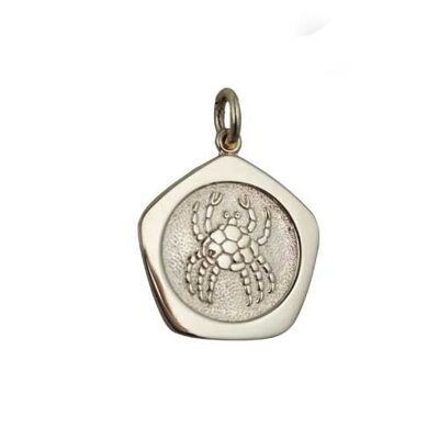 9ct 21mm five sided Cancer Zodiac Pendant