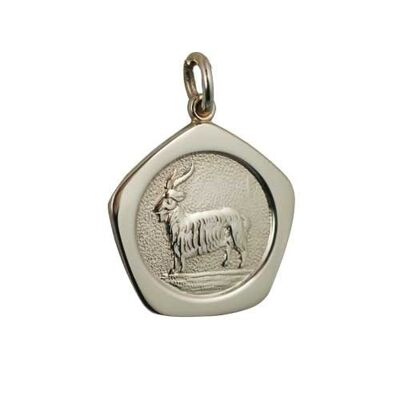 9ct 21mm five sided Capricorn Zodiac Pendant