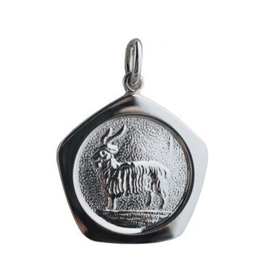 Silver 21mm five sided Capricorn Zodiac Pendant