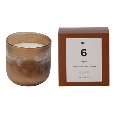 NON. 6 - Bougie Parfumée Séquoia, Cire Naturelle (390G - 60 Heures - Coffret Cadeau - D10xH10,50 cm)
