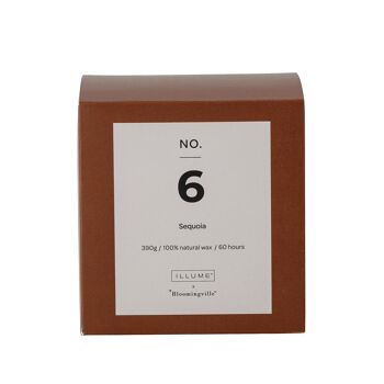 NON. 6 - Bougie Parfumée Séquoia, Cire Naturelle (390G - 60 Heures - Coffret Cadeau - D10xH10,50 cm) 3