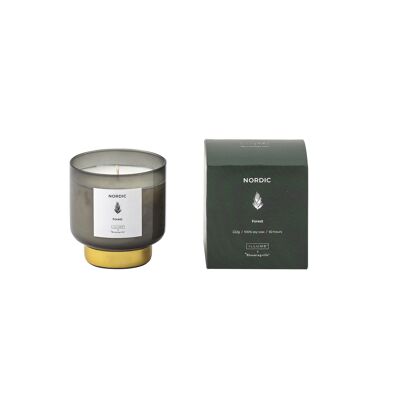 NORDIC - Bougie Parfumée Forêt, Cire naturelle (222 G. - 50 Heures - Coffret cadeau - D8xH9 cm)