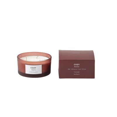 COSY - Candela Profumata Nettarina, Cera Naturale (250 G. - 25 Hour - 3 Stoppini - Confezione regalo - D11xH6 cm)