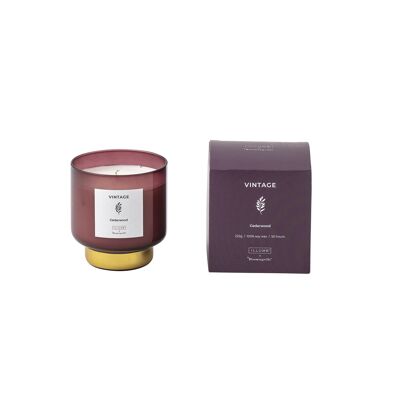 VINTAGE - Vela perfumada de madera de cedro, cera natural (222 G. - 50 Horas - Caja de regalo - D8xH9 cm)