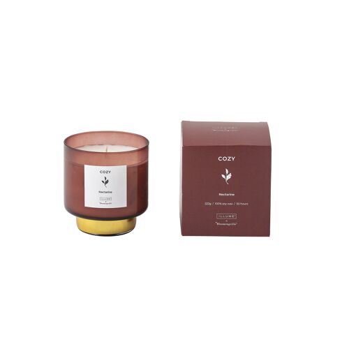 COZY - Nectarine Scented Candle, Natural wax (222 G. - 50 Hour - Gift box - D8xH9 cm)