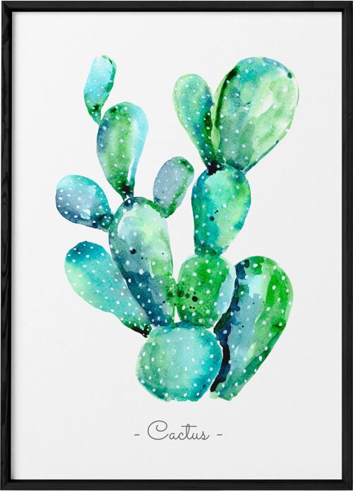 Affiche Cactus aquarelle