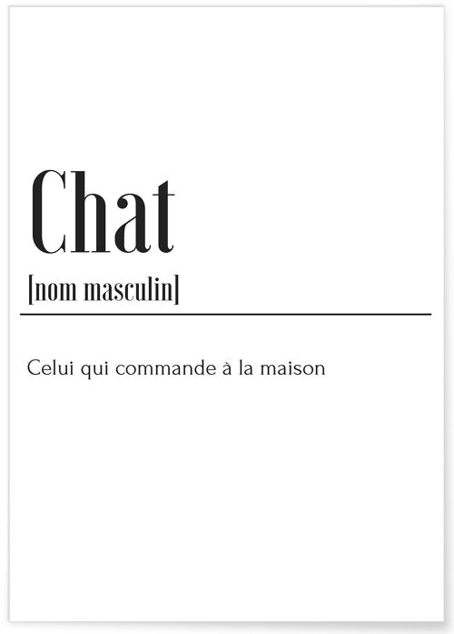 Affiche Définition Chat